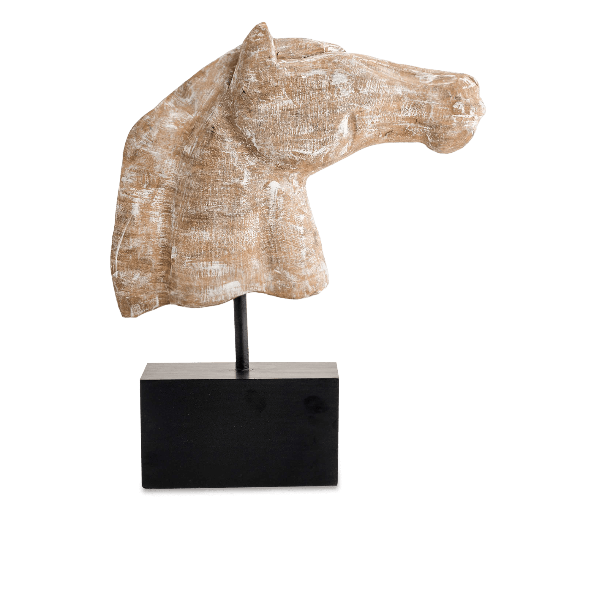Roman Horse Sculpture