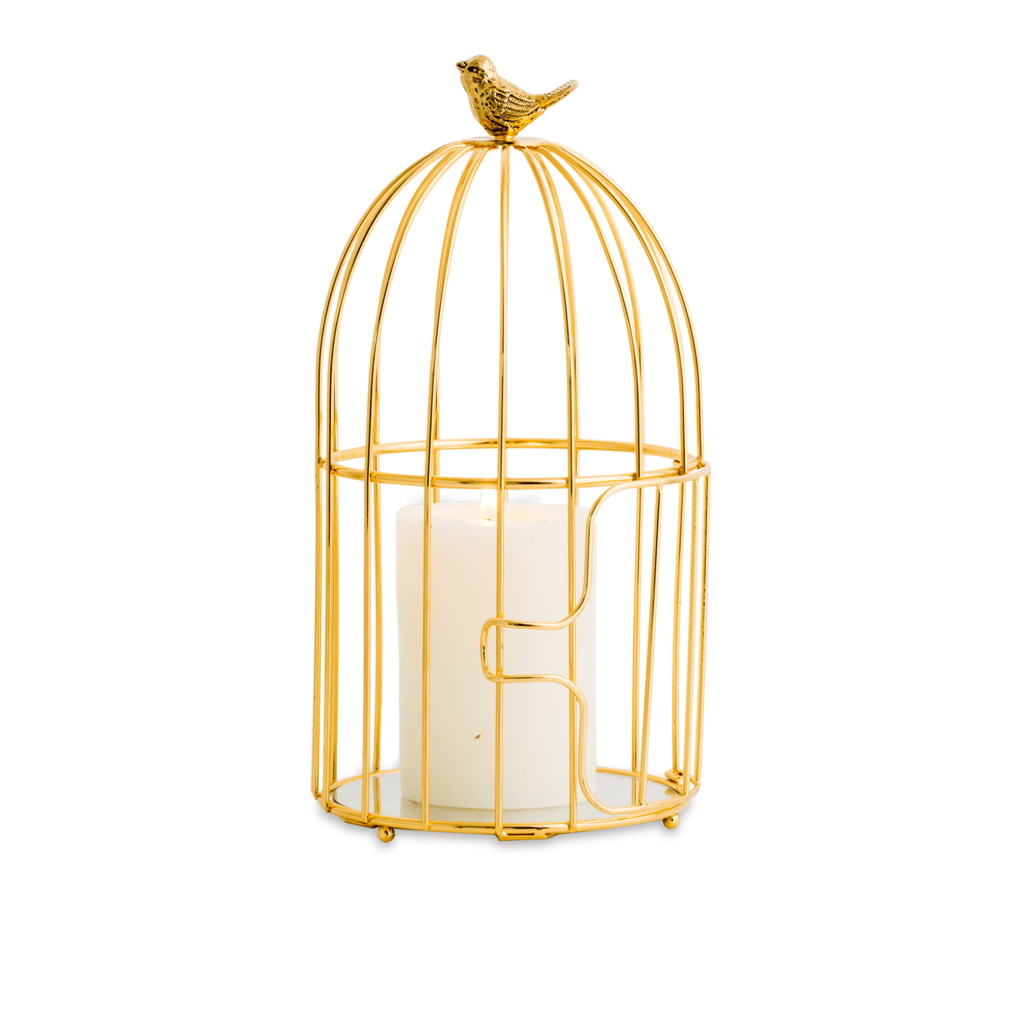 Warbler Bird Cage