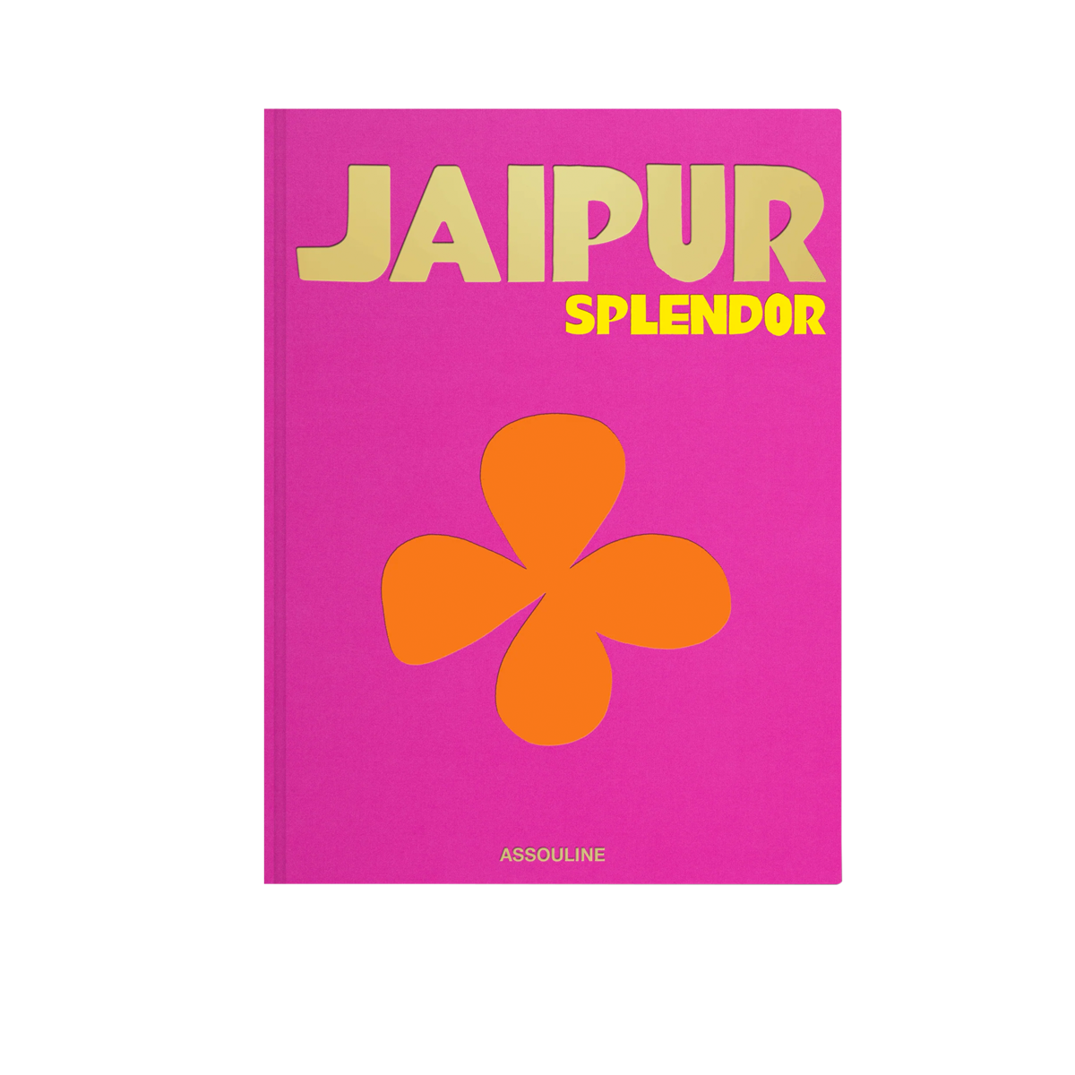 Jaipur Splendor Coffee Table Book