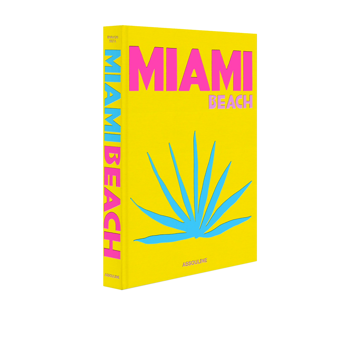 Miami Coffee Table Book