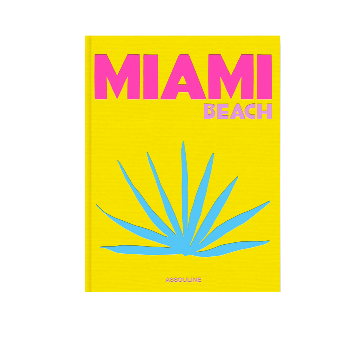 Miami Coffee Table Book