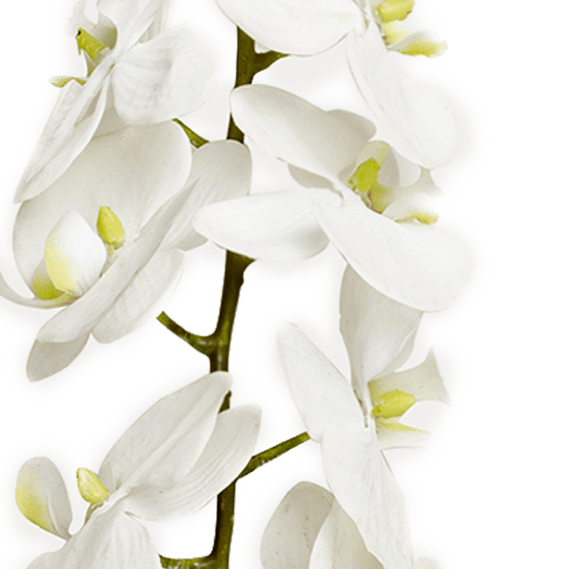Faux Botanical Stem White