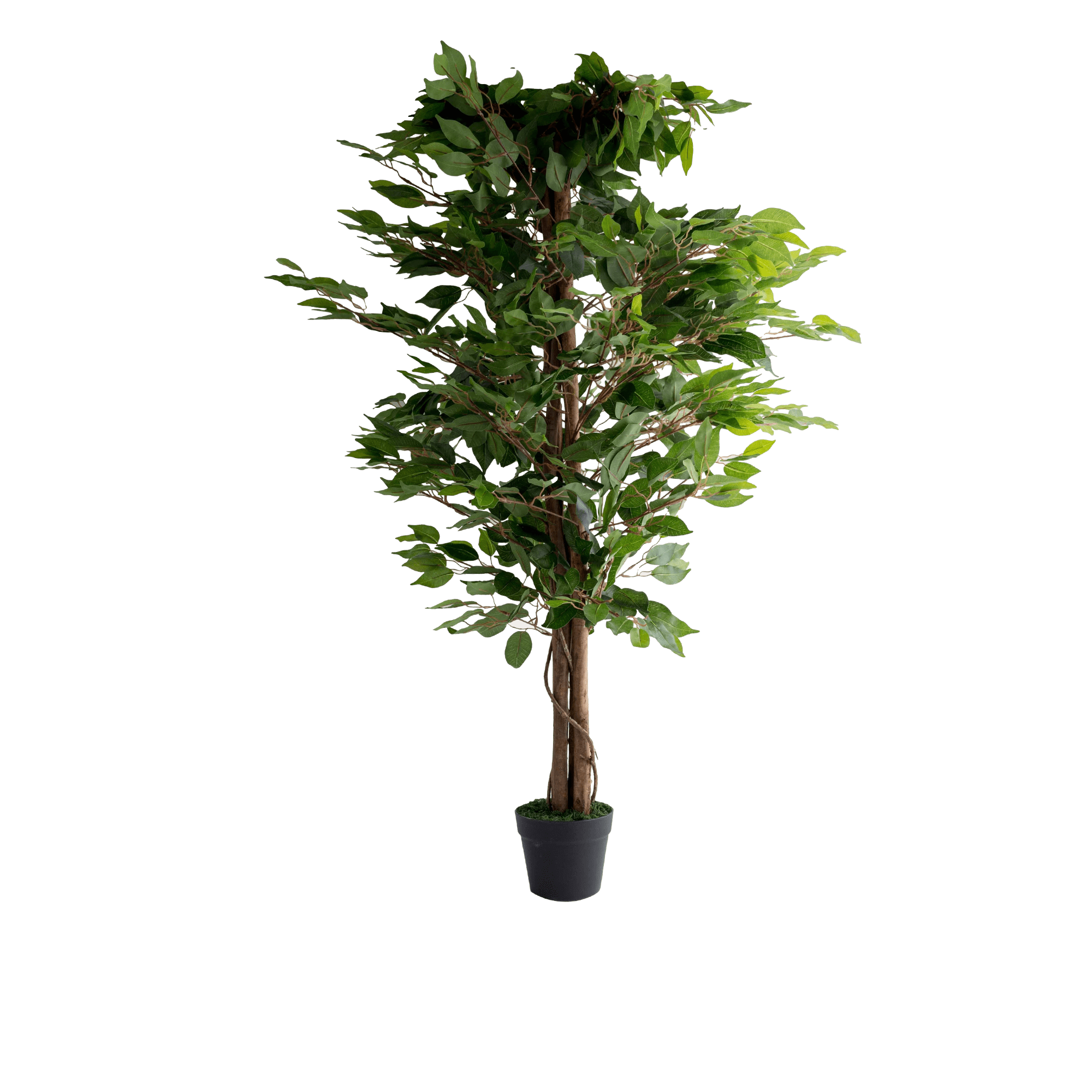 Faux Ficus Potted Plant