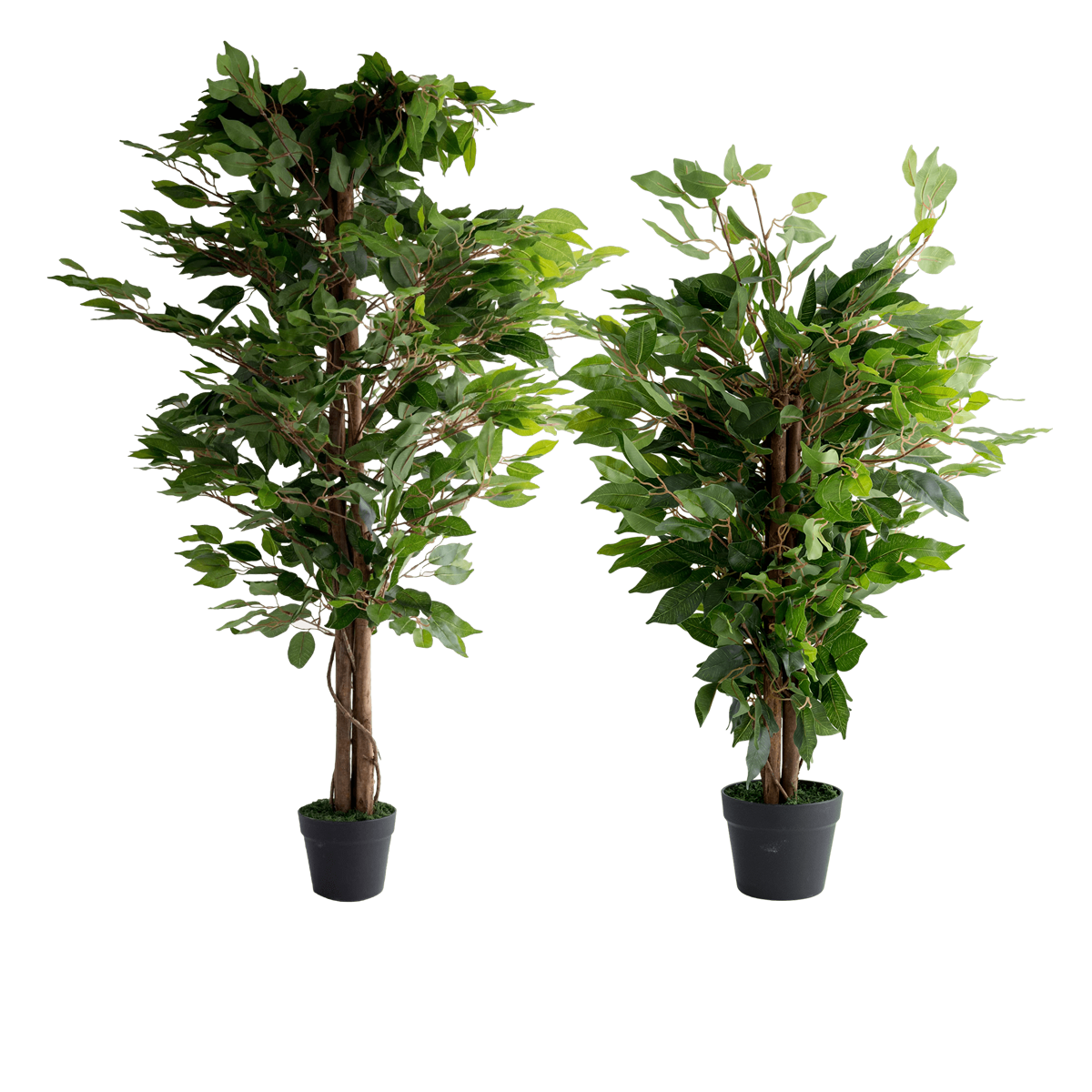 Faux Ficus Potted Plant
